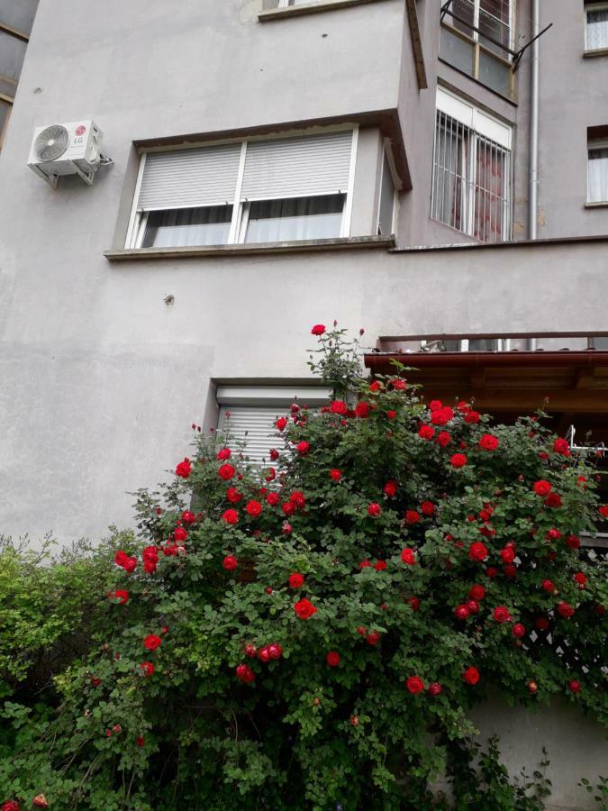 Apartments Lela Bihac Bagian luar foto